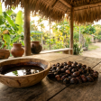 Where Batana Oil Actually Comes From: Honduras, the Miskito People, and the Real Supply Chain
